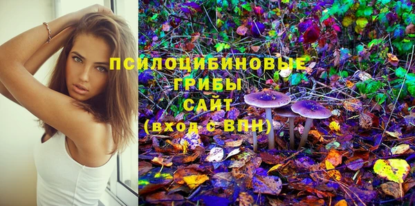 дмт Новокубанск