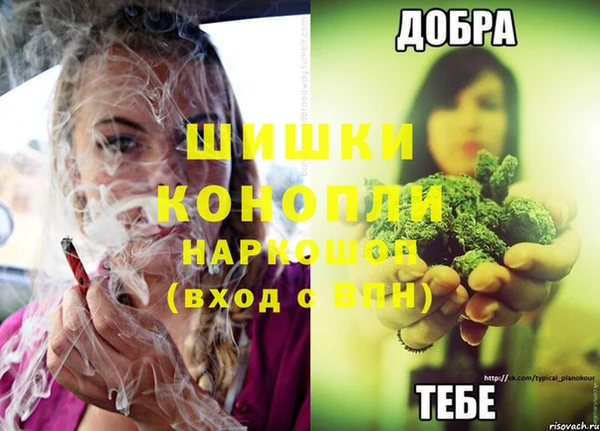 не бодяженный Новозыбков