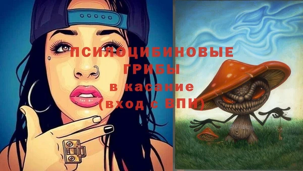 мескалин Новодвинск