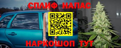 сатива Абакан