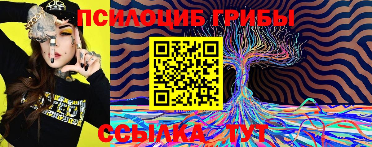 Алатырь  даркнет сайт  Галлюциногенные грибы прущие грибы  Вход с VPN  Галлюциногенные грибы Psilocybine cubensis 