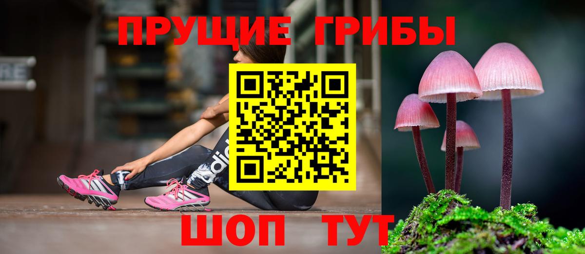 Галлюциногенные грибы Magic Shrooms Алатырь